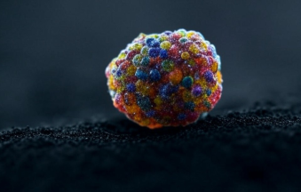 Universul Nevăzut Prin Ochiul Microscopului Stereo